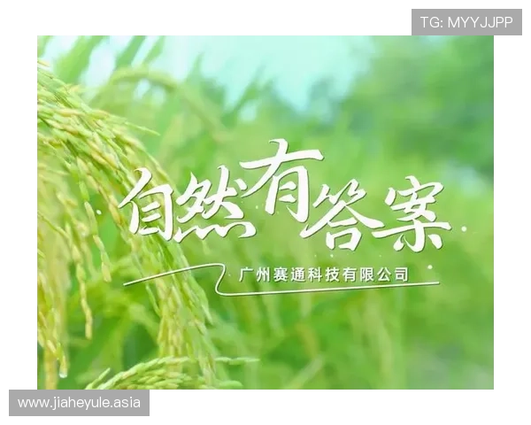南宫ng娱乐app下载安全保障措施介绍,保障用户个人信息与资金安全 南宫ng娱乐app下载安全保障措施介绍,保障用户个人信息与资金安全